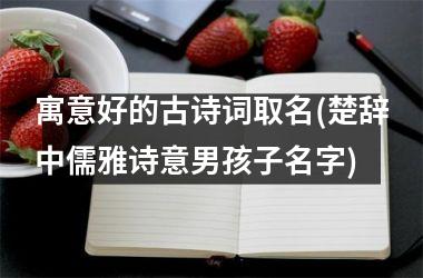 <h3>寓意好的古诗词取名(楚辞中儒雅诗意男孩子名字)
