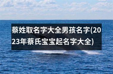 蔡姓取名字大全男孩名字(2023年蔡氏宝宝起名字大全)