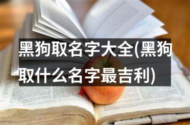 <h3>黑狗取名字大全(黑狗取什么名字最吉利)