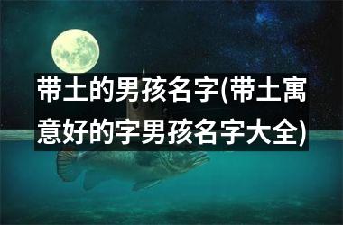 <h3>带土的男孩名字(带土寓意好的字男孩名字大全)