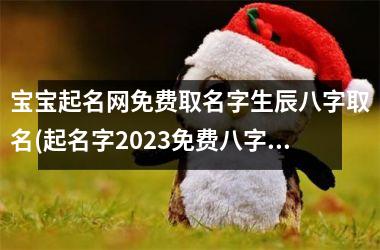 <h3>宝宝起名网免费取名字生辰八字取名(起名字2025免费八字起名周易)