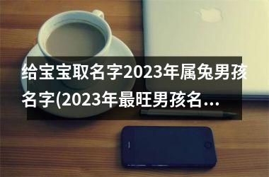 给宝宝取名字2025年属兔男孩名字(2025年最旺男孩名字属兔)