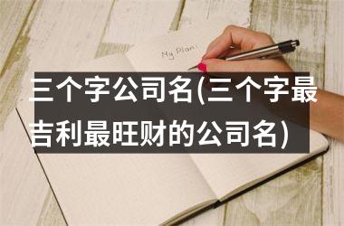 <h3>三个字公司名(三个字最吉利最旺财的公司名)