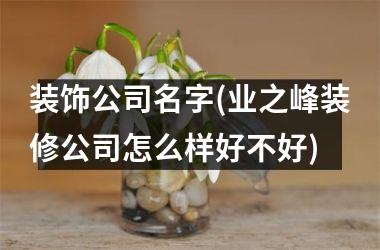 <h3>装饰公司名字(业之峰装修公司怎么样好不好)