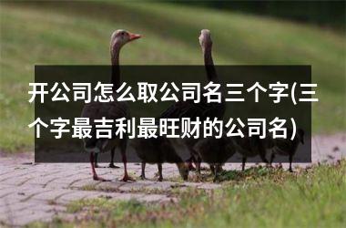 开公司怎么取公司名三个字(三个字最吉利最旺财的公司名)