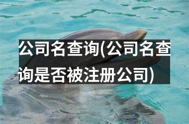 <h3>公司名查询(公司名查询是否被注册公司)