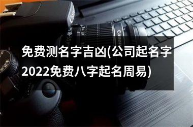 <h3>免费测名字吉凶(公司起名字2025免费八字起名周易)