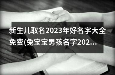 新生儿取名2025年好名字大全免费(兔宝宝男孩名字2025年名字大全)
