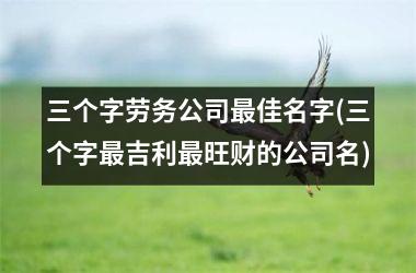<h3>三个字劳务公司最佳名字(三个字最吉利最旺财的公司名)