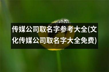 <h3>传媒公司取名字参考大全(文化传媒公司取名字大全免费)