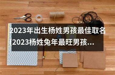 <h3>2025年出生杨姓男孩最佳取名(2025杨姓兔年最旺男孩名字)