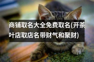 <h3>商铺取名大全免费取名(开茶叶店取店名带财气和聚财)