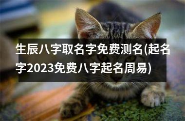 <h3>生辰八字取名字免费测名(起名字2025免费八字起名周易)