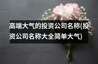 <h3>高端大气的投资公司名称(投资公司名称大全简单大气)