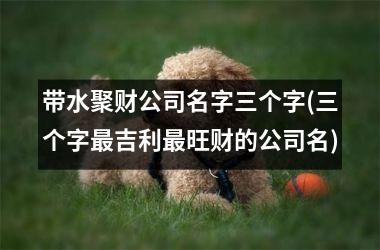 <h3>带水聚财公司名字三个字(三个字最吉利最旺财的公司名)