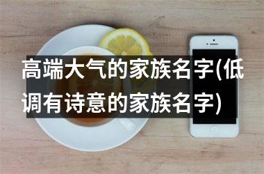 <h3>高端大气的家族名字(低调有诗意的家族名字)