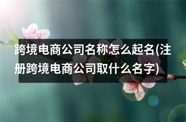 跨境电商公司名称怎么起名(注册跨境电商公司取什么名字)