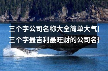 <h3>三个字公司名称大全简单大气(三个字最吉利最旺财的公司名)