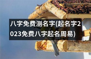<h3>八字免费测名字(起名字2025免费八字起名周易)