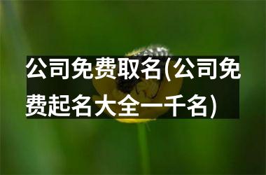 公司免费取名(公司免费起名大全一千名)