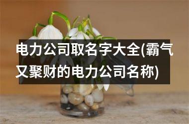 电力公司取名字大全(霸气又聚财的电力公司名称)