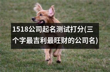 <h3>1518公司起名测试打分(三个字最吉利最旺财的公司名)