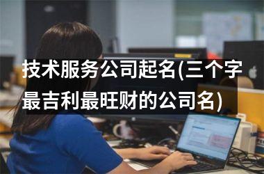 <h3>技术服务公司起名(三个字最吉利最旺财的公司名)