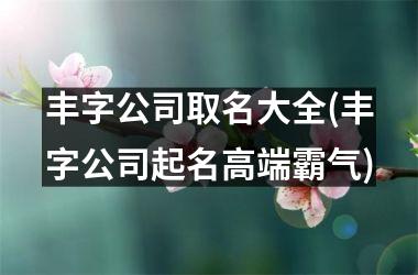 <h3>丰字公司取名大全(丰字公司起名高端霸气)