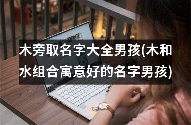 <h3>木旁取名字大全男孩(木和水组合寓意好的名字男孩)