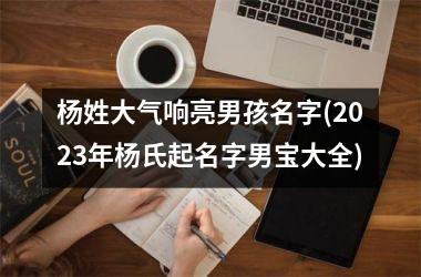 杨姓大气响亮男孩名字(2023年杨氏起名字男宝大全)