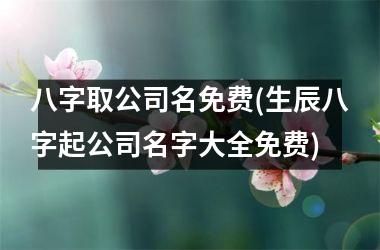 <h3>八字取公司名免费(生辰八字起公司名字大全免费)