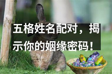 <h3>五格姓名配对，揭示你的姻缘密码！