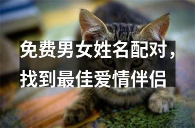 <h3>免费男女姓名配对，找到最佳爱情伴侣