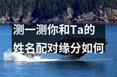 <h3>测一测你和Ta的姓名配对缘分如何