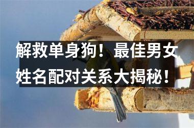 <h3>解救单身狗！最佳男女姓名配对关系大揭秘！