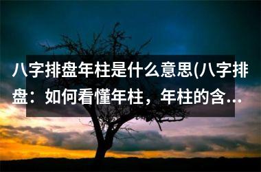 <h3>八字排盘年柱是什么意思(八字排盘：如何看懂年柱，年柱的含义是什么？)