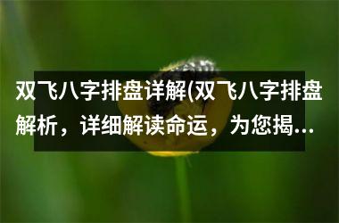 <h3>双飞八字排盘详解(双飞八字排盘解析，详细解读命运，为您揭示命运的秘密)
