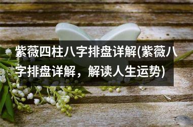 <h3>紫薇四柱八字排盘详解(紫薇八字排盘详解，解读人生运势)