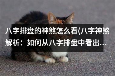 <h3>八字排盘的神煞怎么看(八字神煞解析：如何从八字排盘中看出你的命运？)