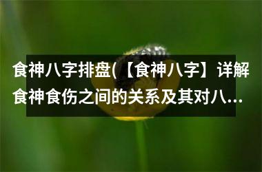 食神八字排盘(【食神八字】详解食神食伤之间的关系及其对八字的影响)