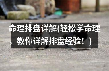 <h3>命理排盘详解(轻松学命理，教你详解排盘经验！)