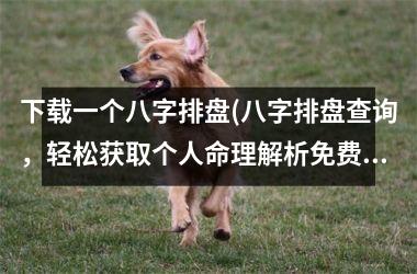 一个八字排盘(八字排盘查询，轻松获取个人命理解析免费)