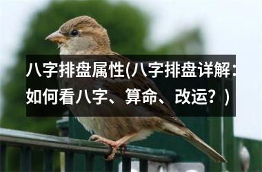 八字排盘属性(八字排盘详解：如何看八字、算命、改运？)