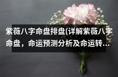 <h3>紫薇八字命盘排盘(详解紫薇八字命盘，命运预测分析及命运转折点)