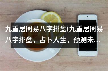 九重居周易八字排盘(九重居周易八字排盘，占卜人生，预测未来，助力决策！)