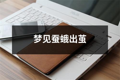 <h3>梦见蚕蛾出茧