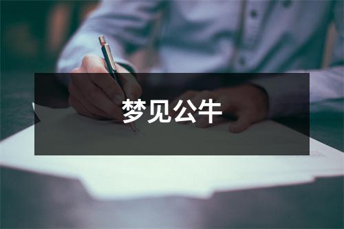 <h3>梦见公牛