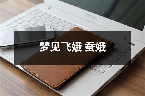 <h3>梦见飞娥蚕娥
