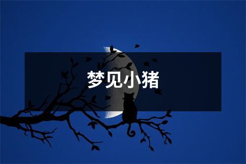 <h3>梦见小猪