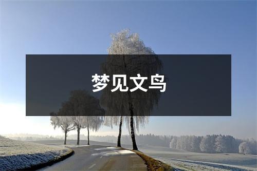 梦见文鸟